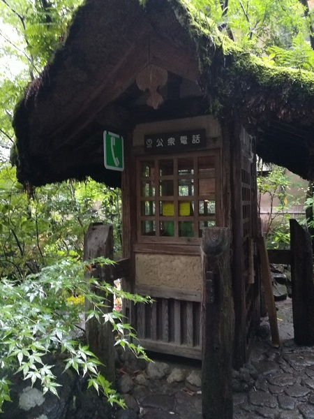 チームの写真