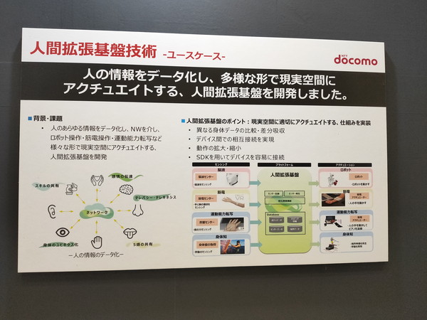 チームの写真
