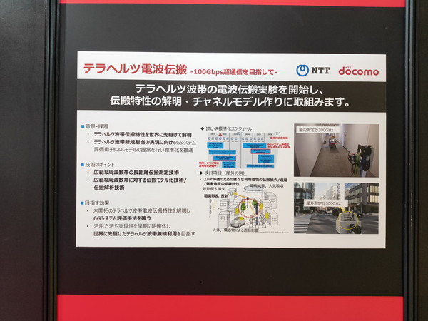 チームの写真