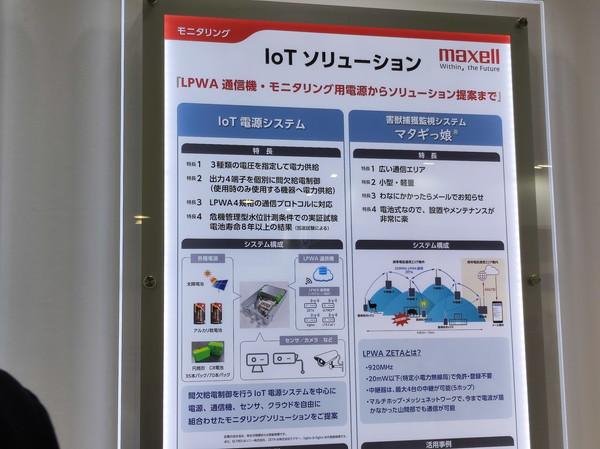 チームの写真